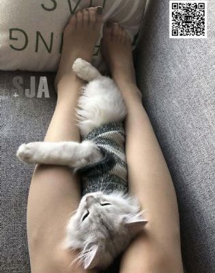 朋友的妈妈在线_4K在线手机播放