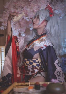 艾莎公主动画片全集第一季中文版_BD电影完整版